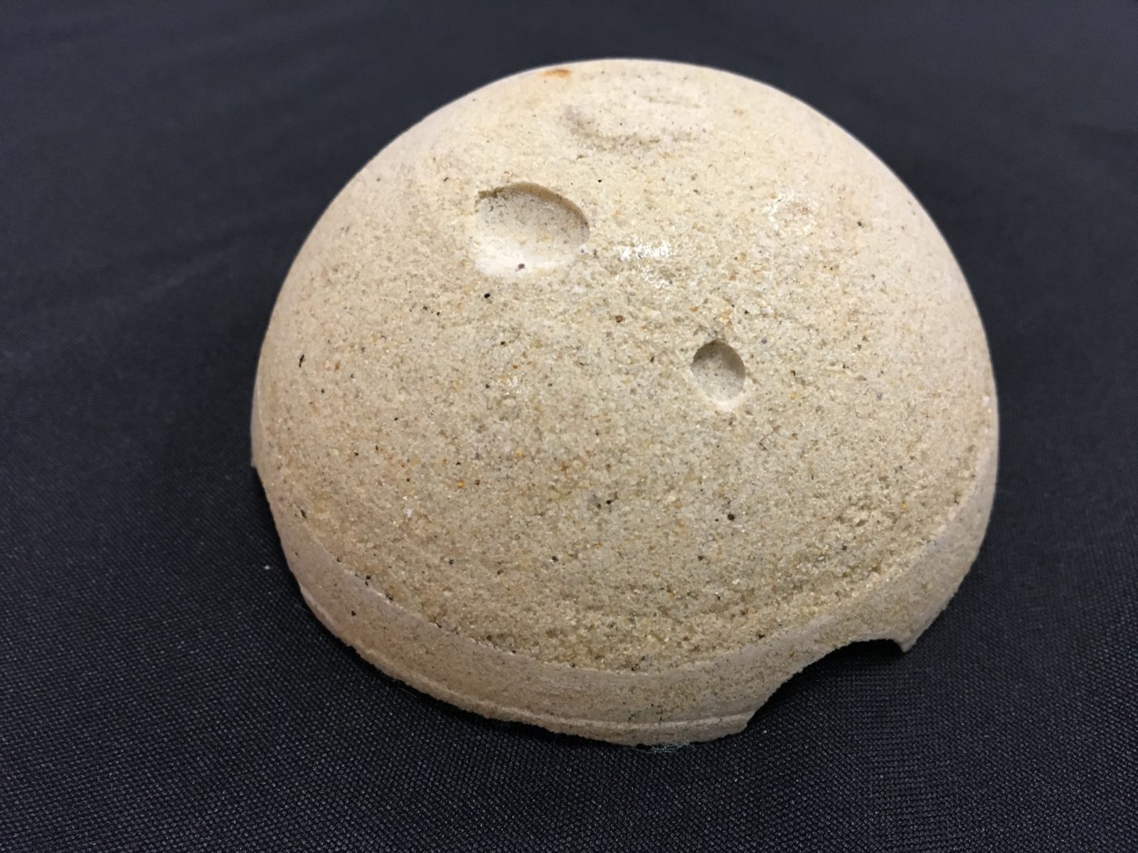 Co-Lab – MICA Biofabrication